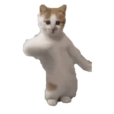 kitty